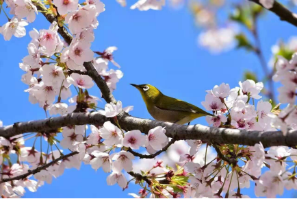 1619658777186586.png image.png